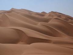 
      
      Harvesting fog can provide fresh water in desert regions: Study
      
      