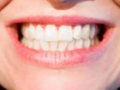 
      
      Scientists discover mechanisms that could help dental treatment
      
      