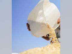 
      
      Centre extends T'gana's rice procurement time period till May 31
      
      