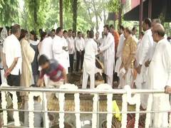
      
      Arun Jaitley cremated with full state honours, son Rohan...
      
      