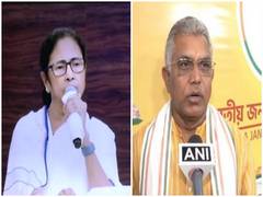 
      
      'Foul' comments against Mamata: TMC delegation to visit WB Guv
      
      