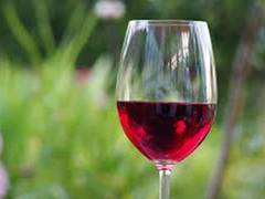 
      
      Red wine compound may help treat depression and anxiety,...
      
      
