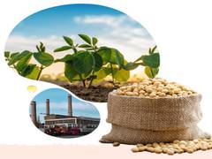 
      
      Ruchi Soya Q4 total income rises 37.38 per cent to Rs 6,676.19 cr
      
      