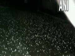 
      
      Hailstorm lashes several parts of Delhi, IMD predicts light...
      
      