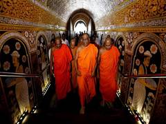 
      
      Sri Lanka: Security beefed up as Buddhist monks meet over...
      
      