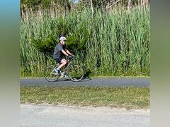 
      
      Biden falls off bike as he rides near beach home in Delaware 
      
      