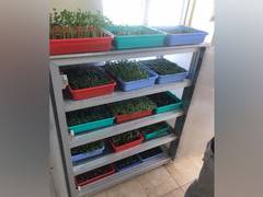 
      
      DRDO working on cultivating vegetables under intense winters...
      
      