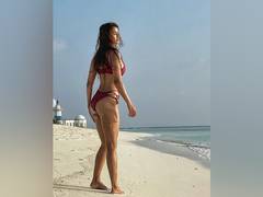 
      
      Disha Patani treats fans with stunning bikini pictures from...
      
      