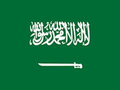 
      
      Saudi Arabia grants permanent residency to 73 foreigners
      
      