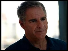 
      
      Scott Bakula to star in 'Unbroken' 
      
      