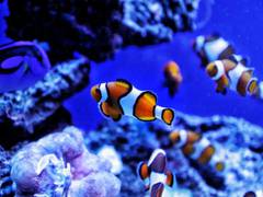 
      
      Human alterations to aquatic ecosystems increase methane emissions
      
      