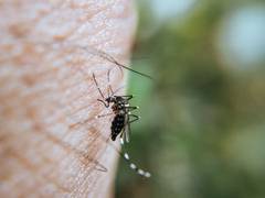 
      
      Study indicates malaria risk can be accelerated by multiple...
      
      
