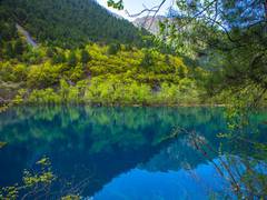
      
      Greenhouse gas emissions from reservoirs higher than...
      
      