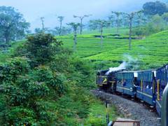 
      
      Boost to rail electrification over high density network in...
      
      