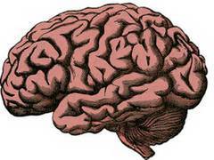 
      
      Study finds brain areas involved in seeking information about...
      
      