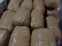 
      
      500 kilograms of cannabis worth Rs 50 lakh seized in...
      
      