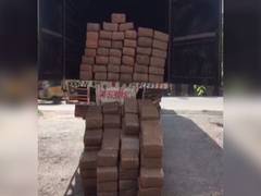 
      
      1,010 Kg Ganja worth more than Rs 1.3 crore siezed from lorry...
      
      