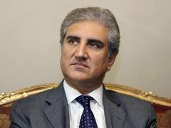 
      
      Qureshi now dials up South Korean counterpart, briefs on Kashmir
      
      