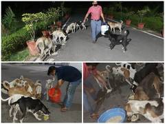 
      
      Noida youth turns saviour for man's best friend during...
      
      
