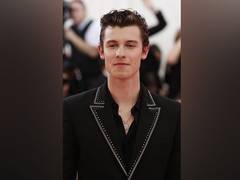 
      
      Shawn Mendes apologises for 'racially insensitive' comments
      
      