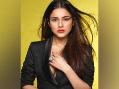 
      
      Shehnaaz Gill reveals her diet secrets
      
      
