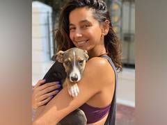 
      
      Shibani Dandekar posts adorable picture with pet dog 'Tyson...
      
      