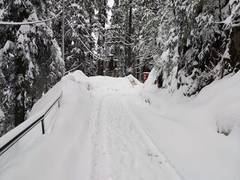 
      
      Shimla receives fresh spell of snowfall 
      
      