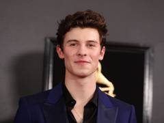 
      
      Shawn Mendes tumbles while posing for shirtless photo
      
      