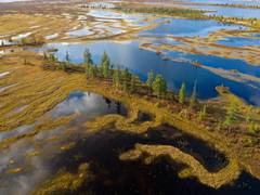 
      
      Siberian Tundra could virtually disappear by mid-millennium
      
      