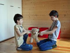 
      
      Study finds sibling bullying leads to poor mental health
      
      