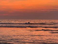 
      
      Sidharth Malhotra shares picturesque beach view: 'Son of a beach'
      
      