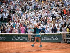 
      
      Defending champion Simona Halep pulls out of Wimbledon due to...
      
      