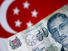 
      
      Will Singapore continue to be India's largest foreign investor?
      
      
