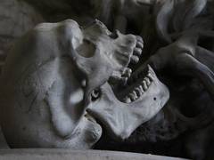 
      
      Brain, spinal cord are protected by immune cells from skull's...
      
      