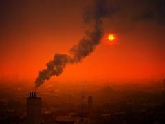 
    Detrimental effects of pollution can be passed on to next generations: Study
    