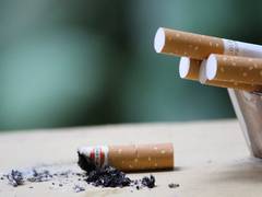 
      
      SC dismisses plea seeking to increase smoking age to 21
      
      