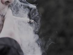 
      
      Heavier smoking linked to skyrocketing health risks: Study
      
      