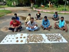 
      
      12 detained for smuggling pangolin skins 
      
      