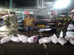 
      
      BSF seizes 126 kgs of Hilsha fish at ICP Petrapole, 1 held
      
      