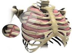 
      
      Doctors come up with new surgical procedure to fix broken...
      
      