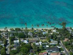 
      
      Study indicates global warming could reduce biodiversity in...
      
      