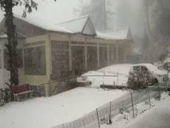 
      
      Shimla receives fresh snowfall 
      
      