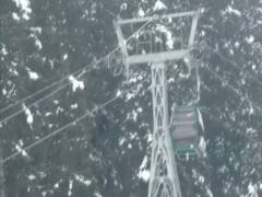 
      
      J-K's Gulmarg receives fresh snowfall
      
      