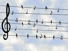 
    Songs from around world display common universal pattern: Study
    