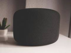 
      
      Smart speaker, displays worldwide shipments reached 55.7...
      
      