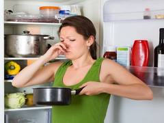 
      
      Researchers discover sensors which can detect food spoilage 
      
      