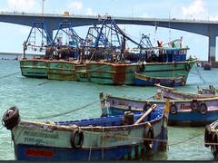 
      
      Sri Lanka Navy arrests 7 foreigners, seizes 240 kg narcotics 
      
      