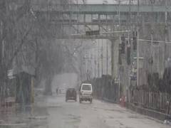 
      
       Jammu and Kashmir receives fresh Snow, farmers expect better...
      
      