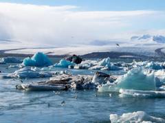 
      
      Study shows limiting global warming to 1.5degC would reduce human risks
      
      