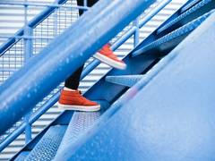 
      
      Study link certain jobs to higher risk of knee osteoarthritis
      
      
